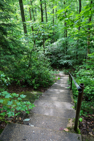 stairs leading down towards Hazard Cave in Pickett CCC State Park