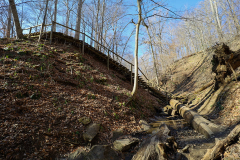 Wooden staircase descending into falls canyon along trail 9 in Turkey Run State Park Indiana 