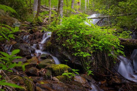 Rufus Morgan Falls hiking trail Nantahala National Forest North Carolina waterfall