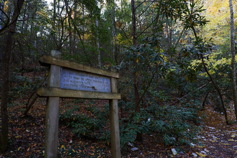 Dog slaughter falls hiking trail Daniel Boone National Forest Kentucky waterfall