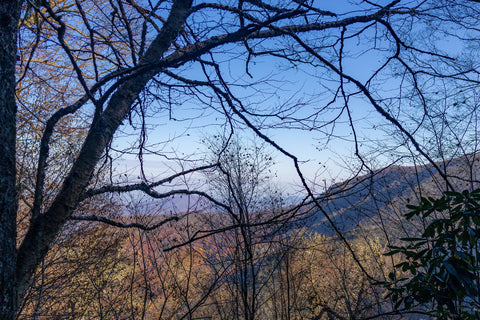 The Low Gap Trail and Appalachian Trail junction rests on a physical landmark known as, “Low Gap”