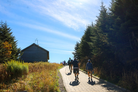 Hiking up the Mount Mitchell summit trail in Mount Mitchell state park North Carolina 