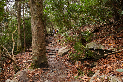 rough ridge section of the tanawha trail on the blue ridge parkway