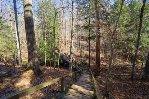Wooden boardwalk along trail 9 descending into boulder canyon in Turkey run state park indiana 
