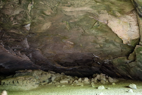 dome ceiling inside Hazard Cave in Pickett CCC State Park
