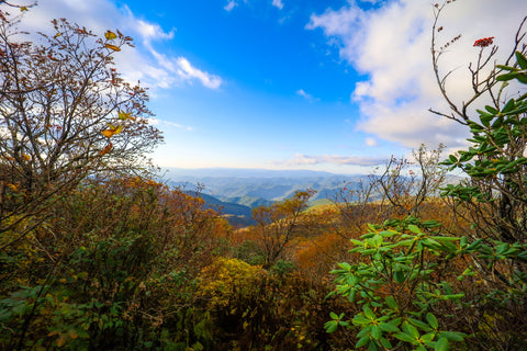 Views of mount Mitchell from craggy gardens on blue ridge parkway of North Carolina 