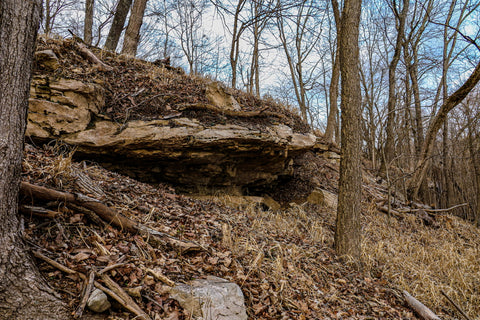 sandstone bluffs overlooking ohio river in o'bannon woods state park
