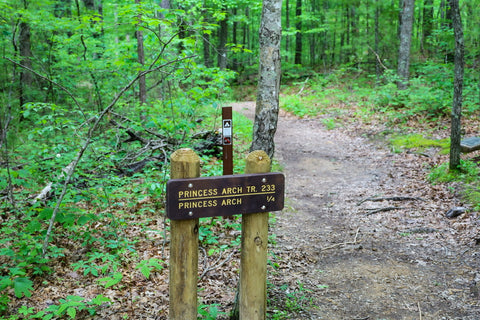 princess arch trail red river gorge