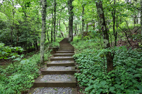 summit trail in mount jefferson state natural area