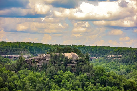 princess arch trail red river gorge