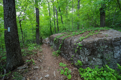 Hiking along the waterfall trail in Denny cove within south Cumberland State Park in Tennessee 