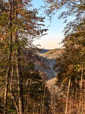 sunset point overlook in mammoth cave national park kentucky