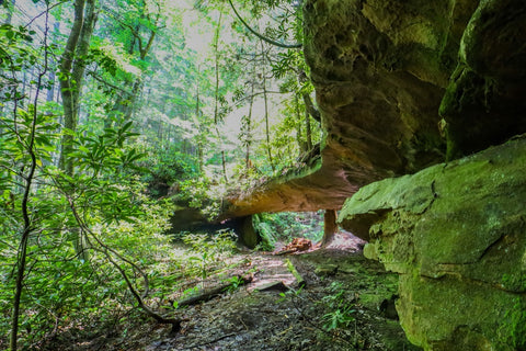 Markers arch in the Daniel Boone National Forest near yahoo falls in Kentucky 