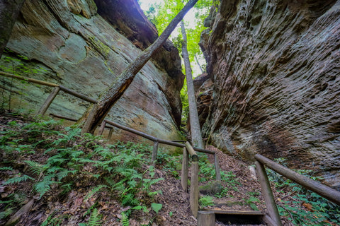 Looking back up through the devils gulch stairway in natural bridge state resort park kentucky