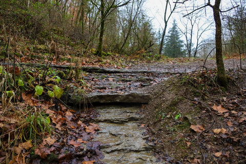 trail leading into creelsboro natural bridge