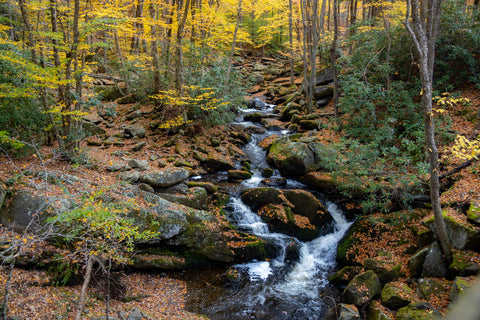 Tremont great smoky mountains national park Tennessee Lynn camp prong cascades middle prong waterfall hiking trails