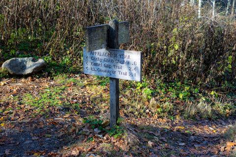 The Low Gap Trail and Appalachian Trail junction rests on a physical landmark known as, “Low Gap”