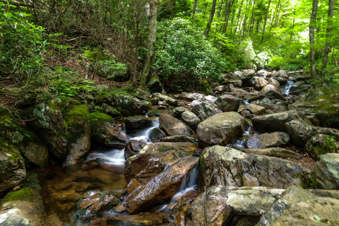 cabin creek along the cabin creek trail in grayson highlands state park in virginia