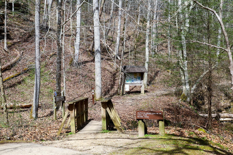 trailhead to whittleton branch trail and whittleton arch in red river gorge kentucky