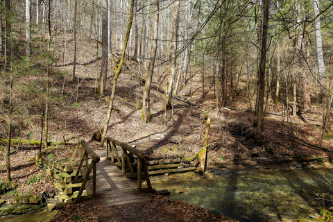 bridge crossing along old railroad tracks to whittleton arch in red river gorge kentucky