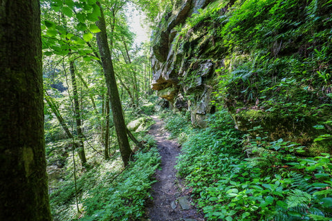 Hiking trail to yahoo falls in big south fork of Kentucky