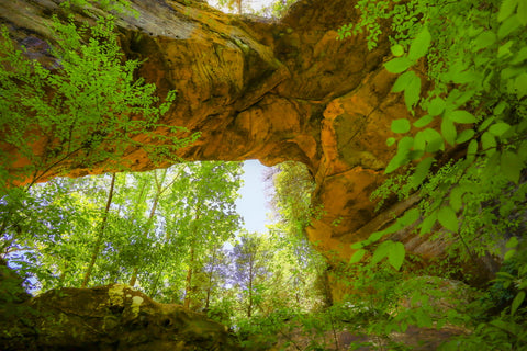 grays arch trail red river gorge