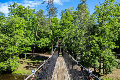 suspension bridge over arch lake in pickett ccc state park