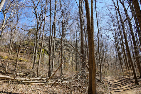 lower trails with sandstone bluffs of jeffreys cliffs above the forest Kentucky