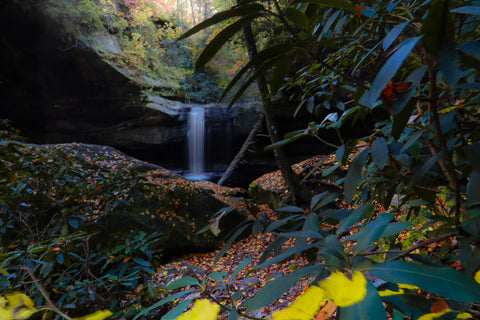 Dog slaughter falls hiking trail Daniel Boone National Forest Kentucky waterfall