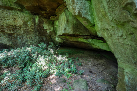 Hidden cave and rock-shelters long hiking trail to yahoo arch in big south fork of kentucky 