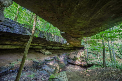 a view of the rock shelter underneath Rockbridge natural bridge in hocking county Ohio 