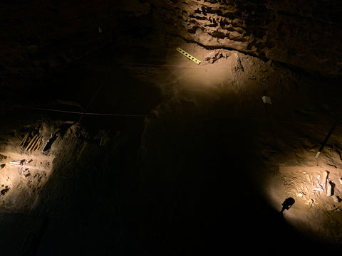 paleontologist dig site inside binkley cave system within indiana caverns
