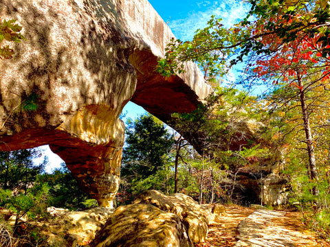 sky bridge arch red river gorge