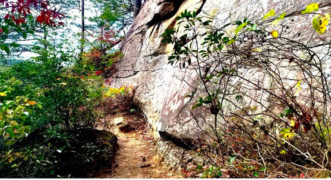 whistling arch trail red river gorge