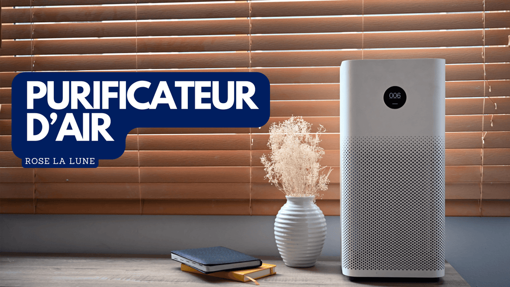 Comment purifier une maison?