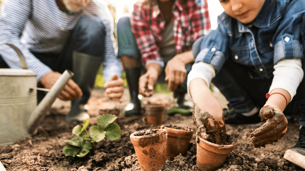 Cultiver son jardin avec la lune (édition 2024)