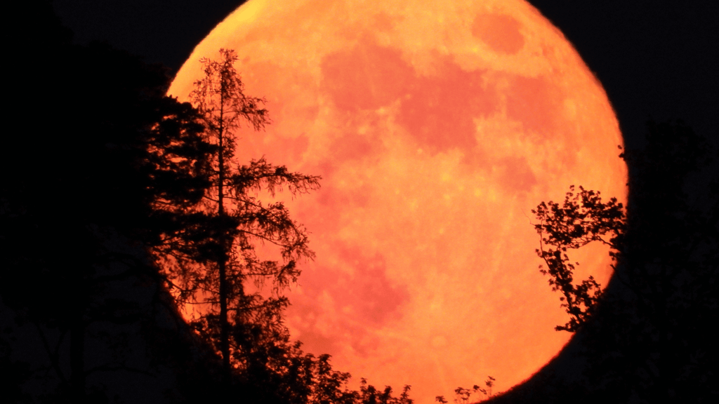 jardiner avec la lune