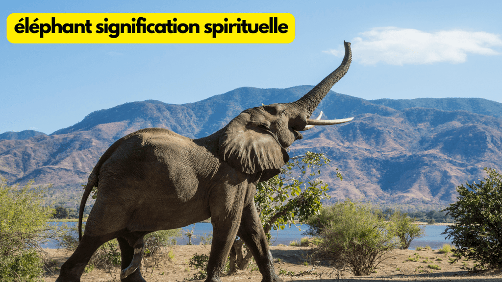 Quelle est la signification spirituelle de l'éléphant?