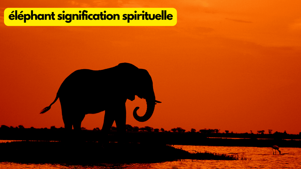 Quelle est la signification spirituelle de l'éléphant?
