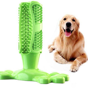 dog toothbrush chew toy