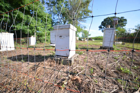 Gallagher electric fence netting for behives and bee keepings against bears raccons and skunks