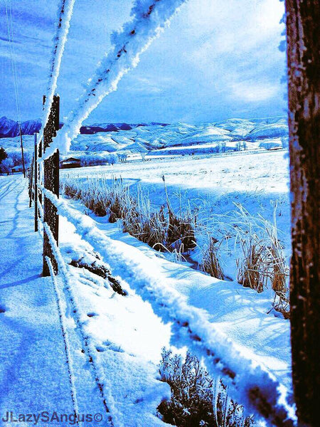electric fence in cold weather