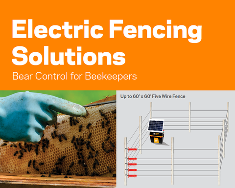 electric fence for bee hive protection from bears