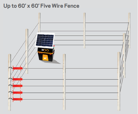 electric bee hive fence to keep bears controlled in apiary bee keeping fence