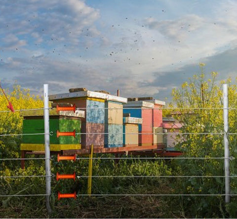 electric bee hive fence