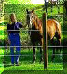 Gallagher electric fence for horse