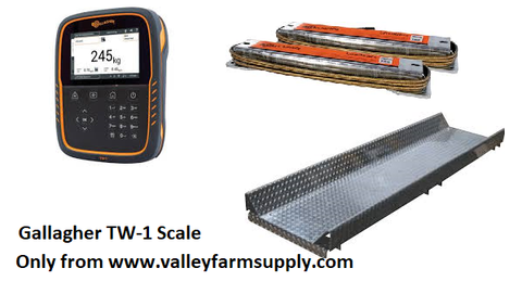 gallagher touch screen scale kit