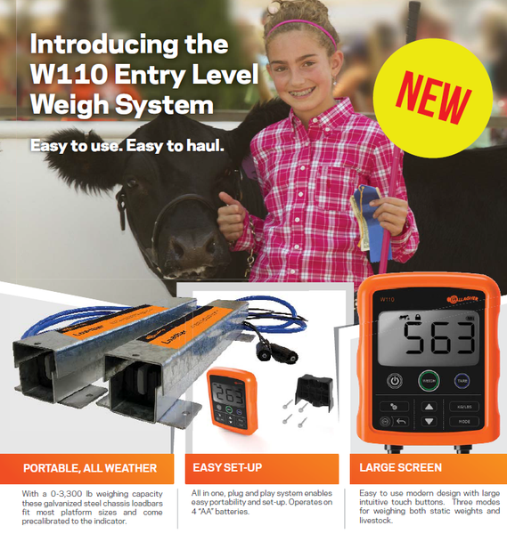 gallagher cattle scale w11o livestock scales for 4h ffa projects