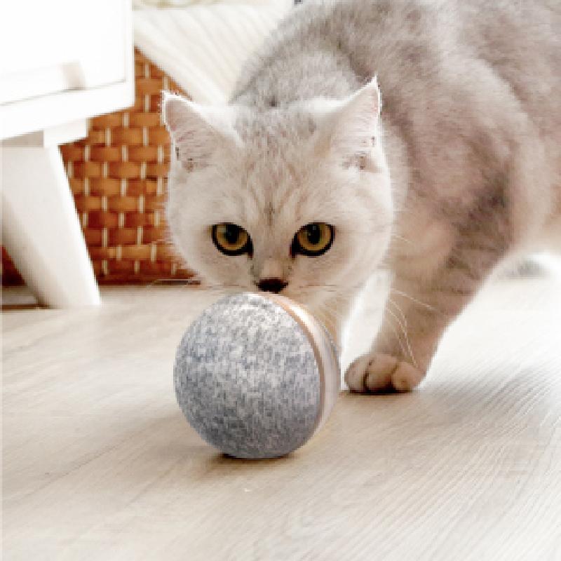 wicked ball cat toy