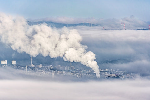 La Neutralité Carbone usine, environnement planète